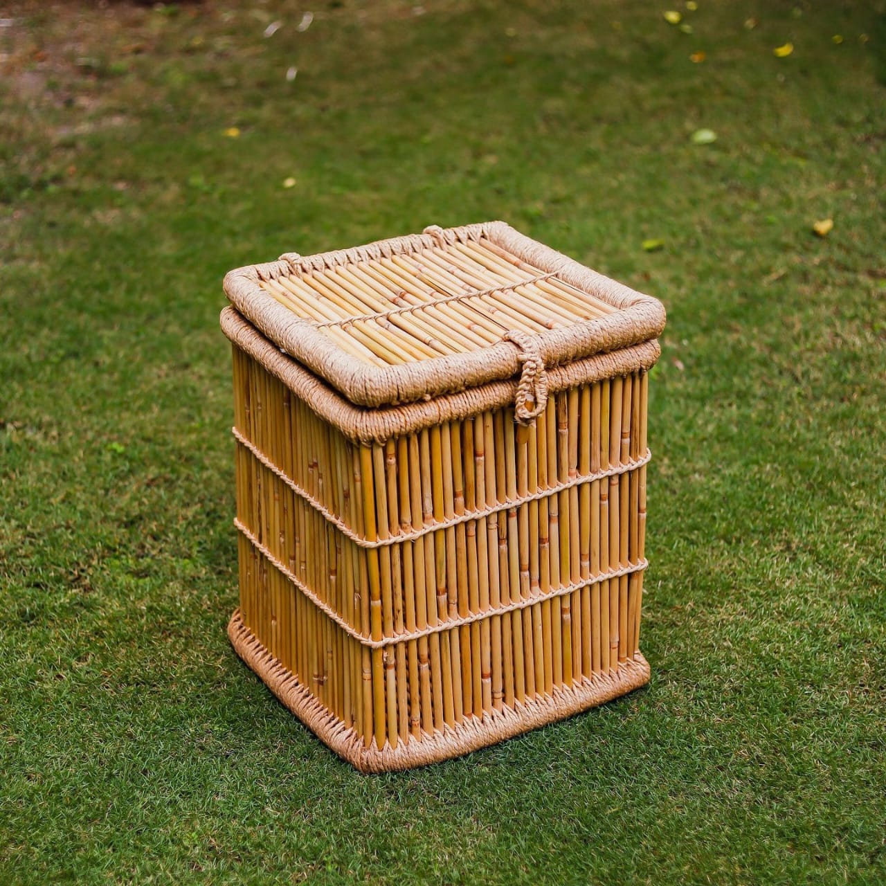 Storage Cabinet 
