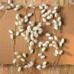 Handcrafted White Bead String with Gold Wire